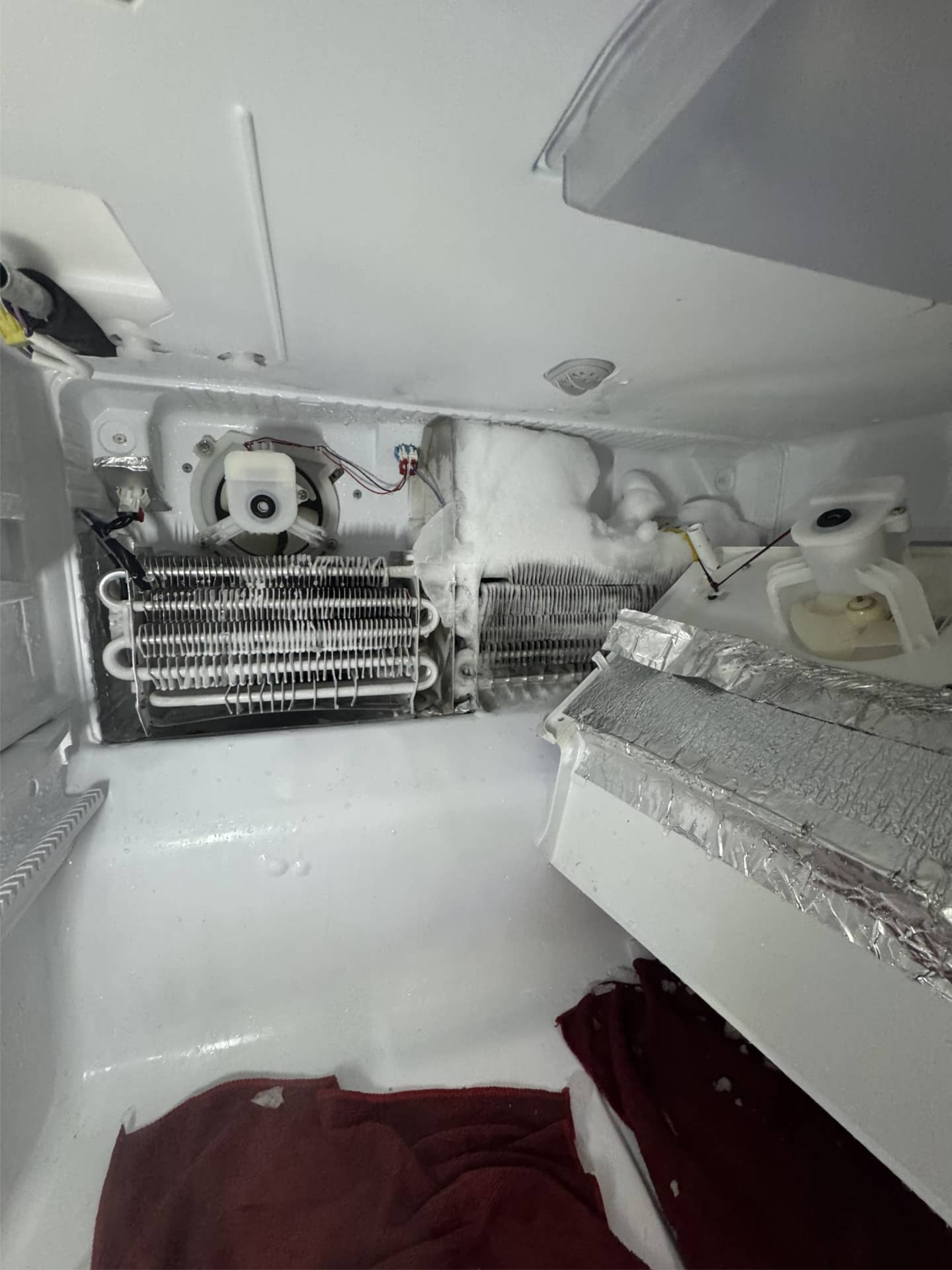 Kenmore refrigerator evaporator and fan exposed during cooling repair in Camas, WA 98607